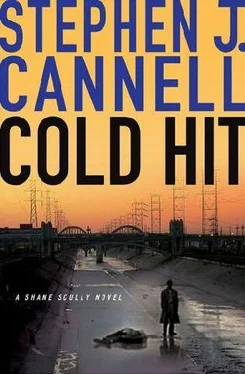 Stephen Cannell Cold Hit обложка книги