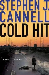 Stephen Cannell - Cold Hit