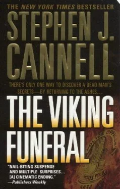 Stephen Cannell The Viking Funeral обложка книги