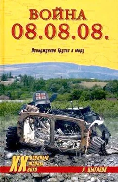 Анатолий Цыганок Война 08.08.08. Принуждение Грузии к миру обложка книги