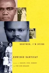 Edwidge Danticat - Brother, I'm Dying