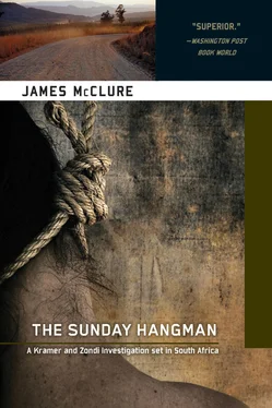 James Mcclure The Sunday Hangman обложка книги