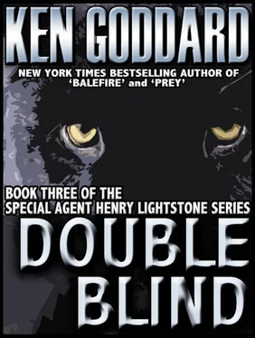 Ken Goddard Double blind обложка книги