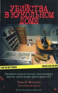 Энн Дарби Убийства в кукольном доме обложка книги