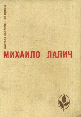 Михаило Лалич Избранное обложка книги