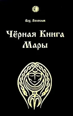 Илья Черкасов Черная книга Мары обложка книги