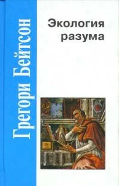 Грегори Бейтсон Экология разума обложка книги