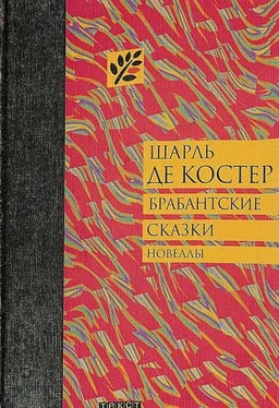 Шарль де Костер Брабантские сказки обложка книги