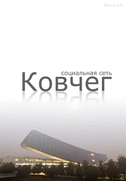 Евгений Вецель Социальная сеть Ковчег обложка книги