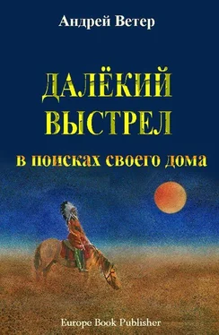 Андрей Ветер ДАЛЁКИЙ ВЫСТРЕЛ обложка книги