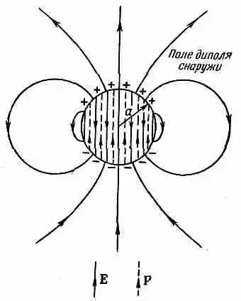 Фиг 117 Электрическое поле однородно поляризованного шарика - фото 81