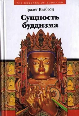 Тралег Кьябгон Сущность буддизма обложка книги