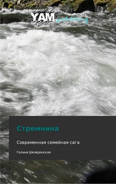 Галина Шкавронская Стремнина обложка книги