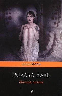 Роальд Даль Ночная гостья обложка книги