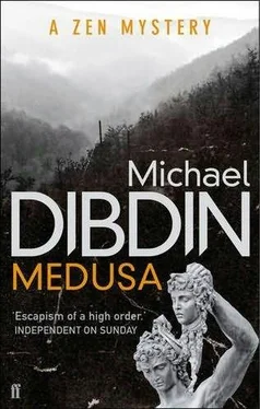 Michael Dibdin Medusa обложка книги