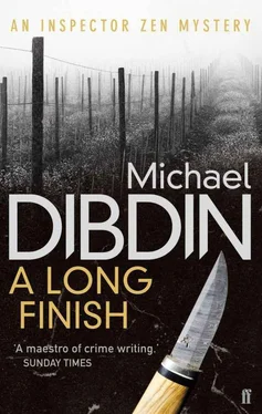 Michael Dibdin A long finish обложка книги