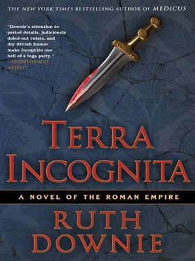 Ruth Downie Terra Incognita обложка книги