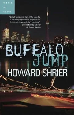 Howard Shrier Buffalo jump