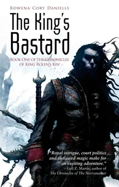 Rowena Daniells The King's bastard обложка книги