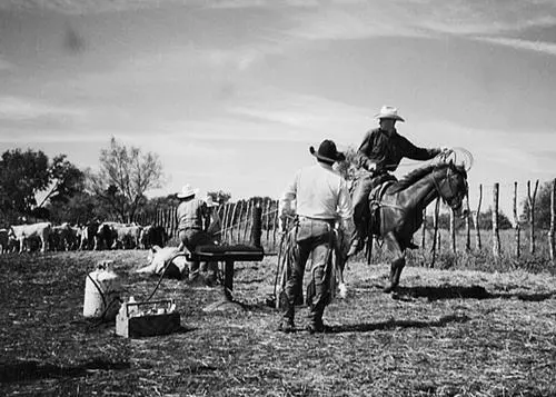 Its a rough way to make a living but Ill always be a cowboy at heart All - фото 8