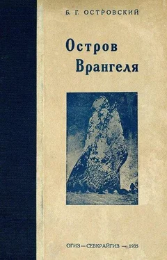 Борис Островский Остров Врангеля обложка книги