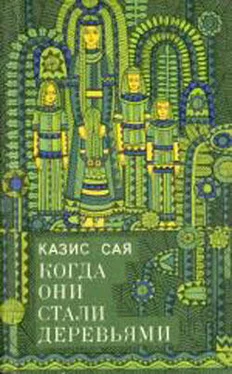 Казис Сая Посейдон Пушнюс как таковой обложка книги