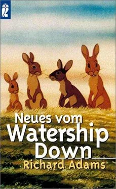 Richard Adams Neues vom Watership Down обложка книги