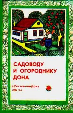 Н. Тыктин Садоводу и огороднику Дона обложка книги