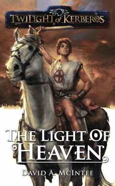 David Mcintee The Light of Heaven обложка книги