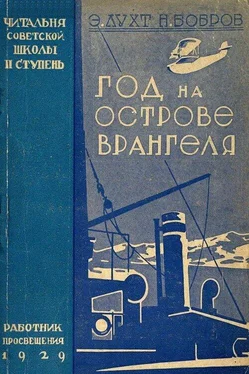 Эдуард Лухт Год на острове Врангеля. Северная воздушная экспедиция обложка книги