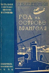 Эдуард Лухт - Год на острове Врангеля. Северная воздушная экспедиция