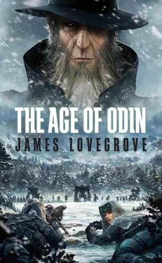 James Lovegrove The Age Of Odin обложка книги