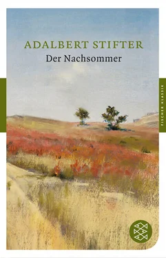 Adalbert Stifter Der Nachsommer обложка книги