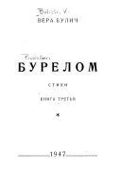 Вера Булич Бурелом. Книга третья обложка книги