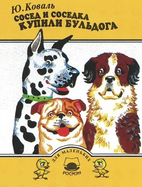 Юрий Коваль Сосед и соседка купили бульдога обложка книги