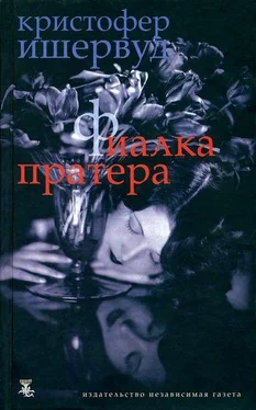 Кристофер Ишервуд Фиалка Пратера обложка книги