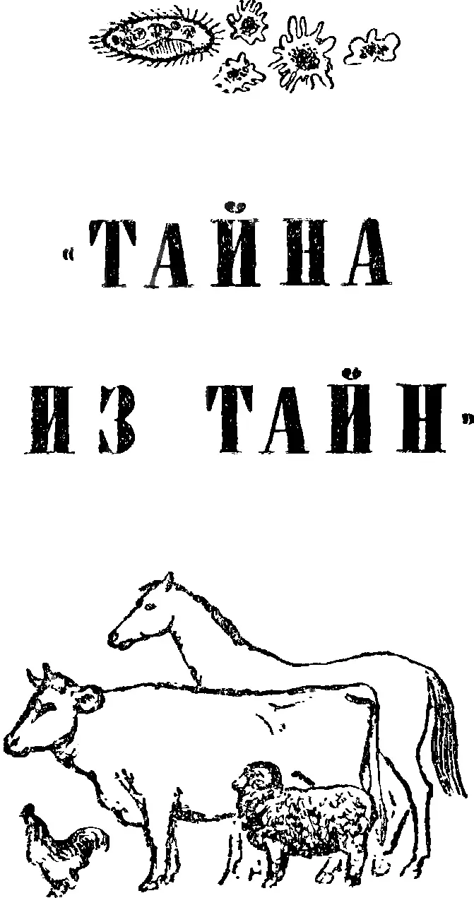 ТАЙНА ИЗ ТАЙН НЕМНОГО О ДУШИСТОМ ГОРОШКЕ О СЧАСТЬЕ И О ТУРМАНАХ Когда я - фото 3