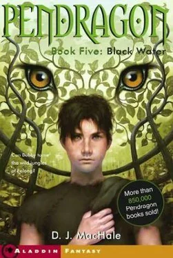 D. MacHale Black Water обложка книги