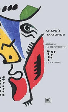 Андрей Платонов Том 6. Дураки на периферии обложка книги