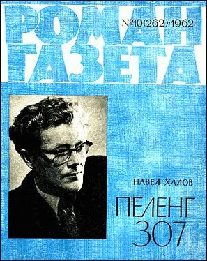 Павел Халов Пеленг 307 обложка книги