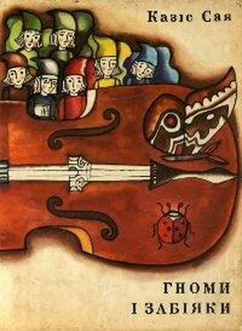 Казіс Сая Гноми і забіяки обложка книги