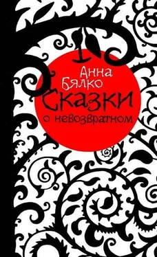 Анна Бялко Сказки о невозвратном обложка книги