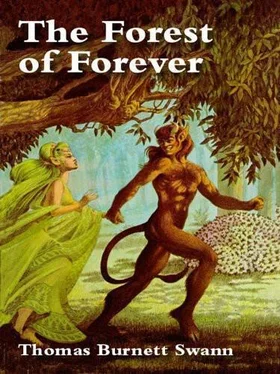 Thomas Swann The forest of forever обложка книги
