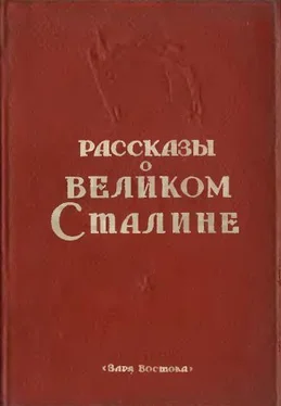 Сборник Сборник Рассказы о великом Сталине. Книга 2 обложка книги