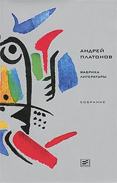 Андрей Платонов Том 8. Фабрика литературы обложка книги