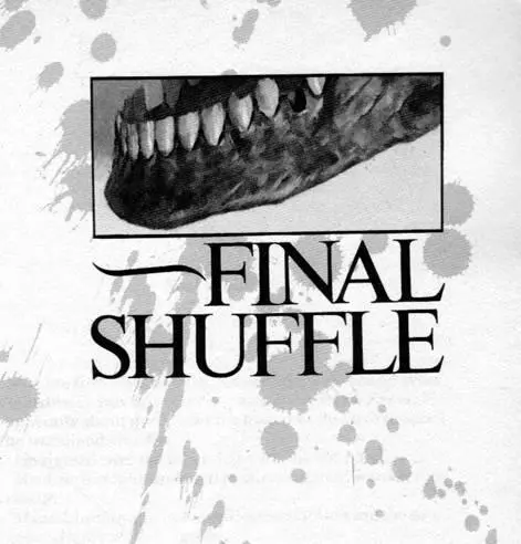 FINAL SHUFFLE 1 For the first time in what seemed like a thousand years - фото 16