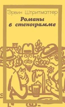 Эрвин Штритматтер Романы в стенограмме обложка книги