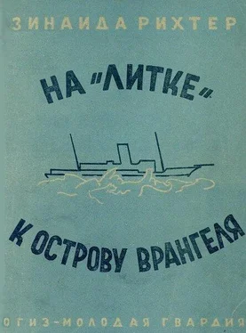 Зинаида Рихтер На «Литке» к острову Врангеля обложка книги