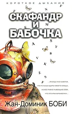 Жан-Доминик Боби Скафандр и бабочка обложка книги