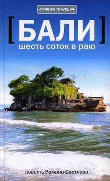 Роман Светлов Бали: шесть соток в раю обложка книги